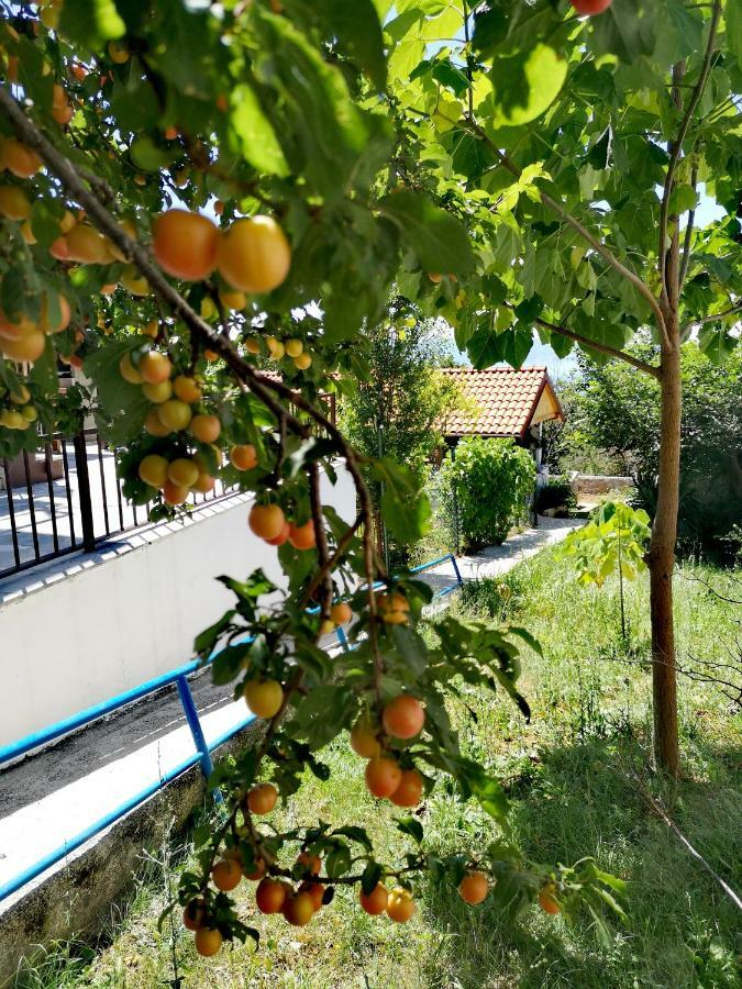 Apartment Eden Crikvenica Ngoại thất bức ảnh