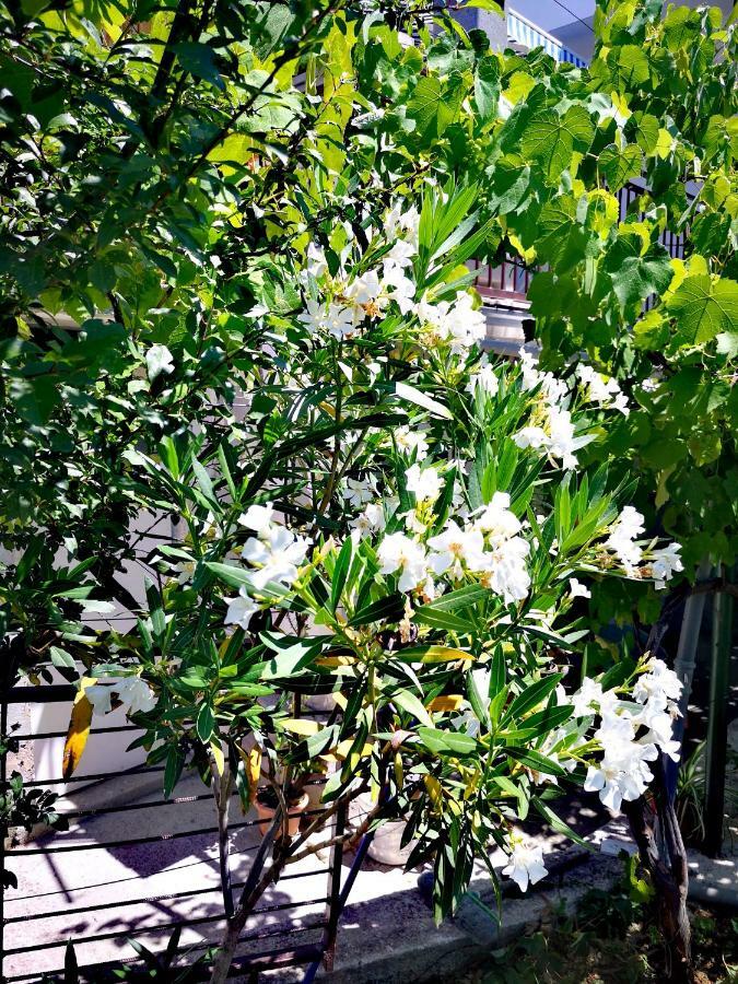 Apartment Eden Crikvenica Ngoại thất bức ảnh